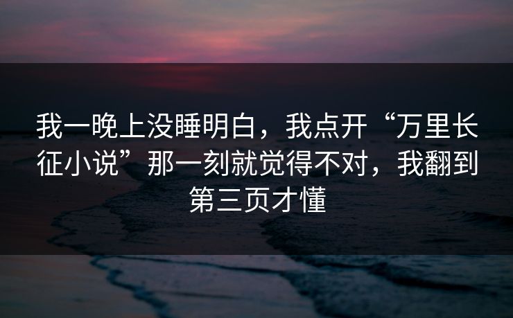 我一晚上没睡明白，我点开“万里长征小说”那一刻就觉得不对，我翻到第三页才懂