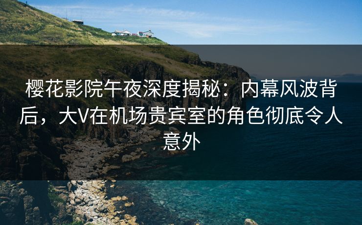 樱花影院午夜深度揭秘：内幕风波背后，大V在机场贵宾室的角色彻底令人意外