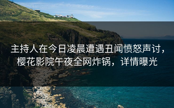 主持人在今日凌晨遭遇丑闻愤怒声讨，樱花影院午夜全网炸锅，详情曝光