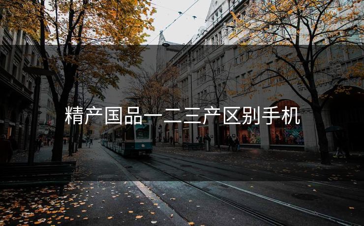 精产国品一二三产区别手机