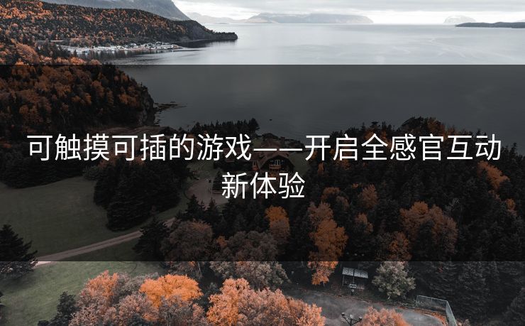 可触摸可插的游戏——开启全感官互动新体验 可触摸可插的游戏——开启全感官互动新体验