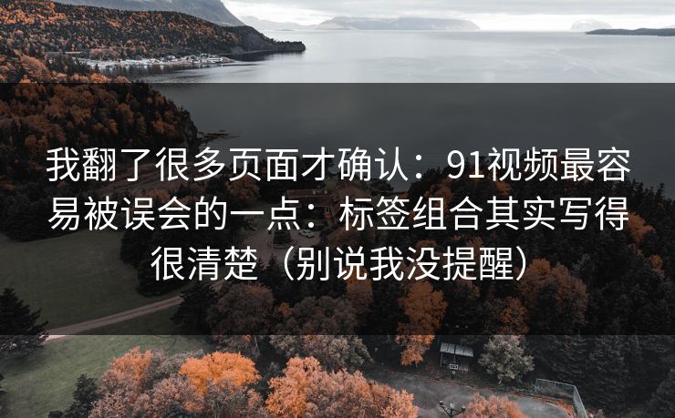 我翻了很多页面才确认:91视频最容易被误会的一点:标签组合其实写得很清楚(别说我没提醒) 我翻了很多页面才确认:91视频最容易被误会的一点:标签组合其实写得很清楚(别说我没提醒)